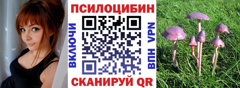 Купить где  Тетюши  Галлюциногенные грибы прущие грибы 